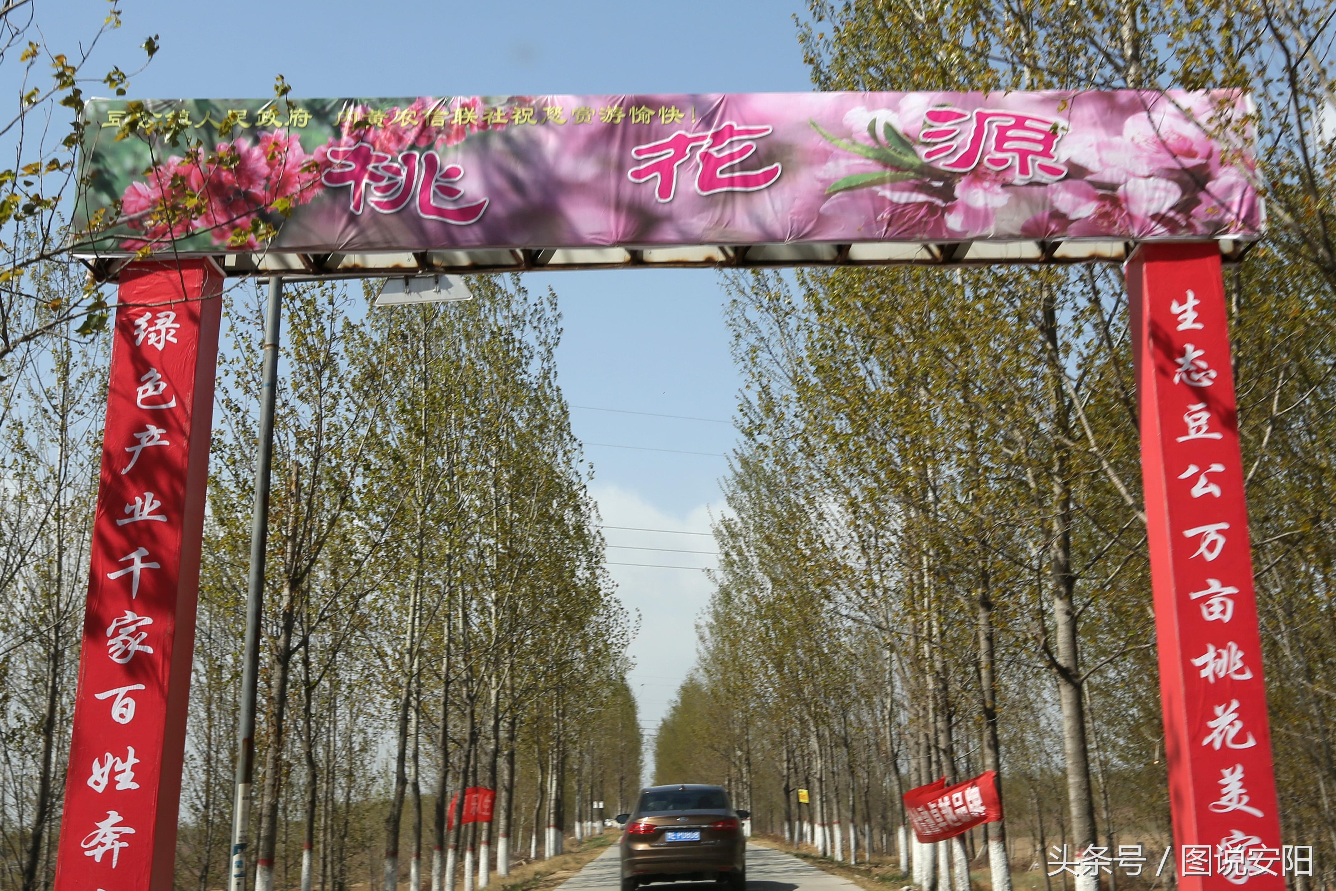 最新新聞趣事，心靈之旅探索自然美景的魅力