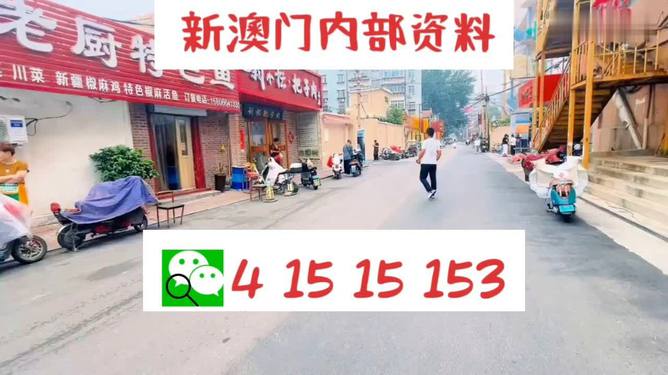2024新澳門天天開好彩大全58,科技成果解析_EBR23.873經(jīng)典版