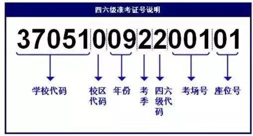 494949最快開獎(jiǎng)結(jié)果 香港 新聞,資源部署方案_FBY23.590體驗(yàn)式版本