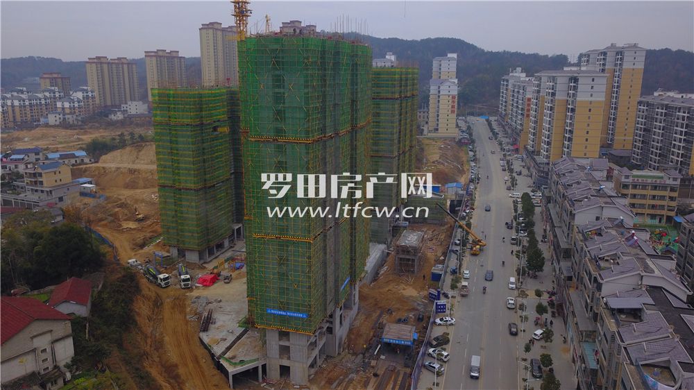 羅田最新房價(jià)揭秘，洞悉市場(chǎng)動(dòng)態(tài)，掌握房價(jià)走勢(shì)！