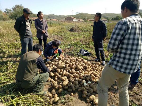 沽源最新新聞報(bào)道