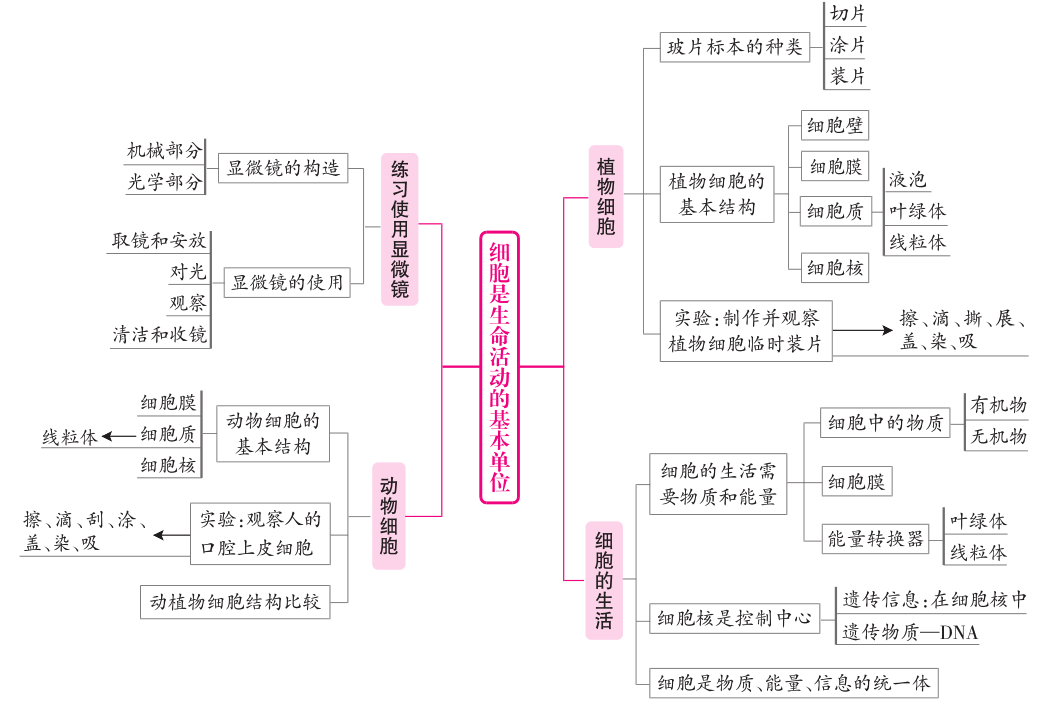 新奧正版全年免費資料,現(xiàn)代化解析定義_HOR10.503計算機版