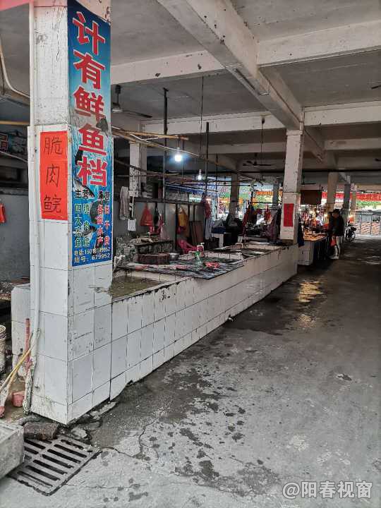 最新魚檔轉(zhuǎn)讓，把握商機(jī)，輕松開啟水產(chǎn)養(yǎng)殖事業(yè)之路