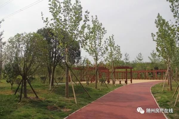 隨州桃園公園最新動(dòng)態(tài)揭秘，驚喜連連，不容錯(cuò)過(guò)！