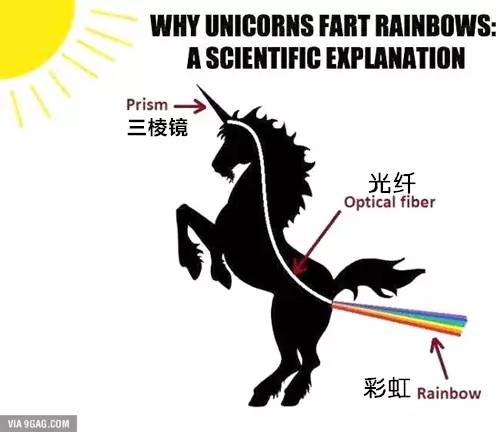 六+彩資料免費大全,科學(xué)分析解釋說明_AFK47.540動感版