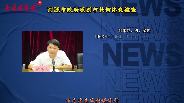 何偉良最新任免揭曉，日常故事中的溫馨轉(zhuǎn)折