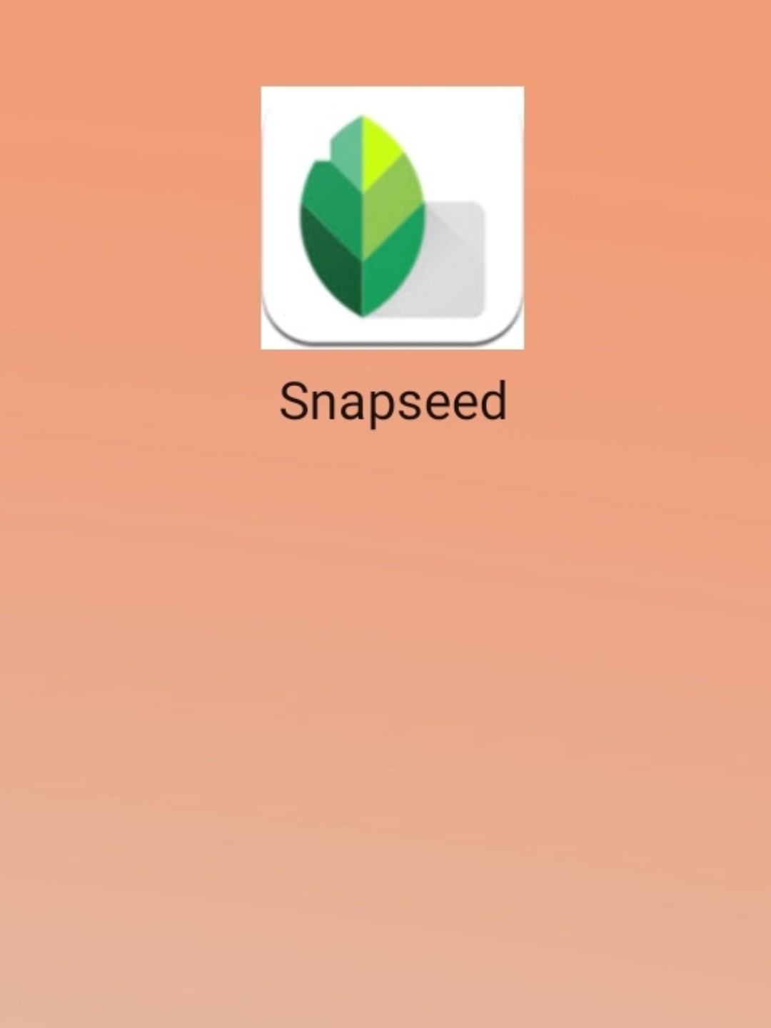 最新snapseed中文版，科技重塑影像，讓生活因攝影更精彩