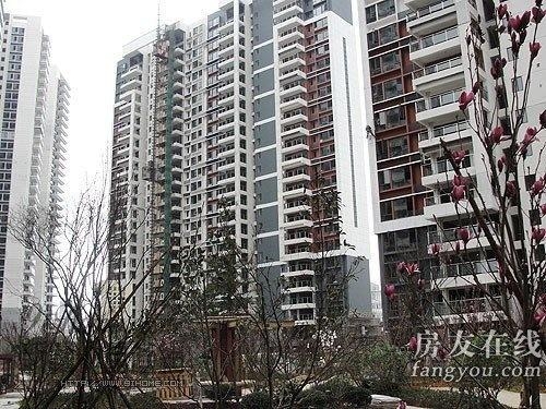 綠地長島公寓最新價(jià)格揭秘，小巷深處的隱藏寶藏