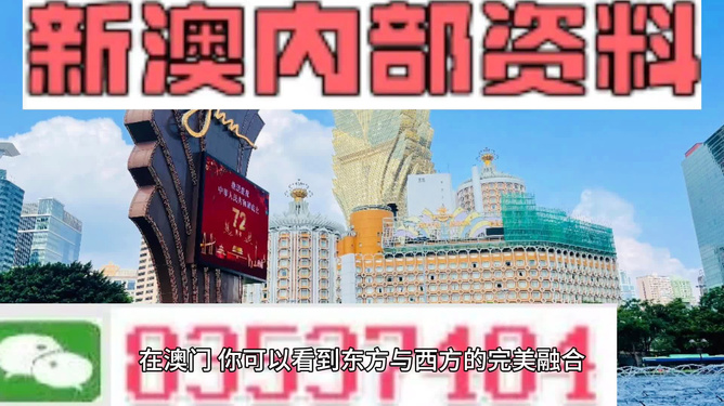2024新澳最精準(zhǔn)資料,案例實(shí)證分析_VQM94.180車載版