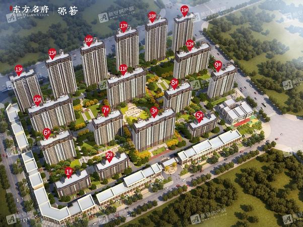 明光東郡最新動態(tài)，友情的綻放與家的溫馨日常