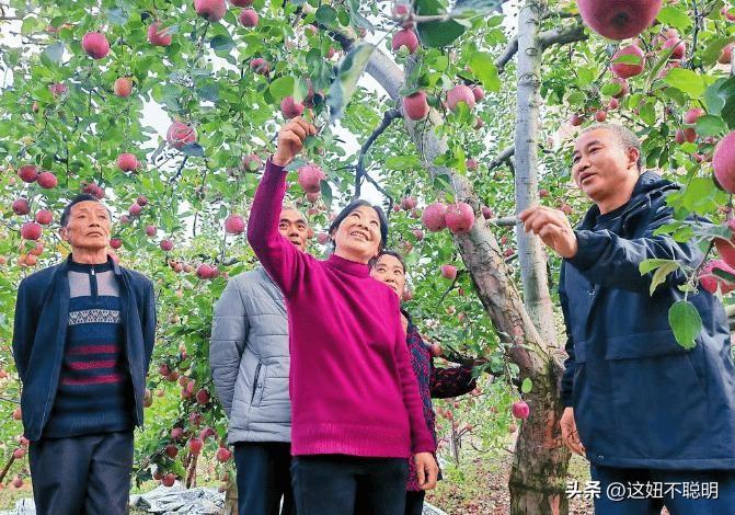2024年最新致富項(xiàng)目，探索自然美景之旅，追尋內(nèi)心平和寧?kù)o