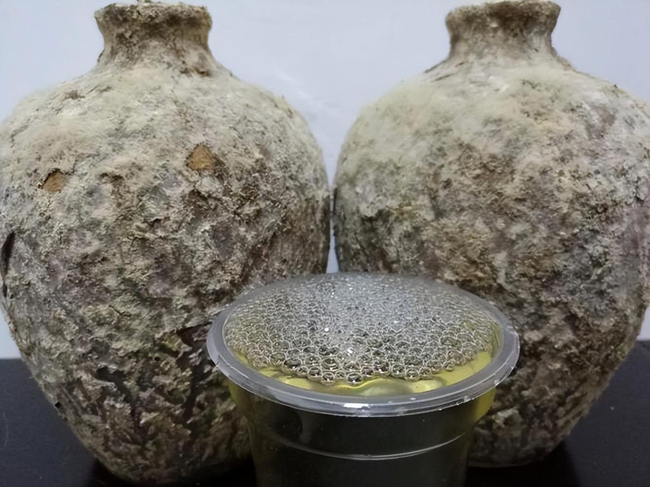 仁懷房屋出售最新信息，科技與家居融合，未來家居新體驗重磅推出