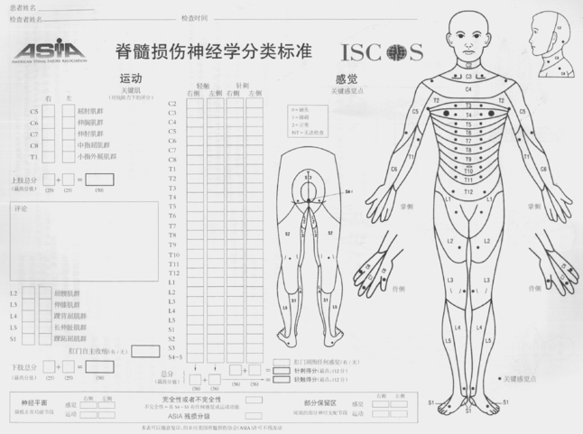 國際脊髓損傷最新突破進(jìn)展迅速，帶來重大突破！