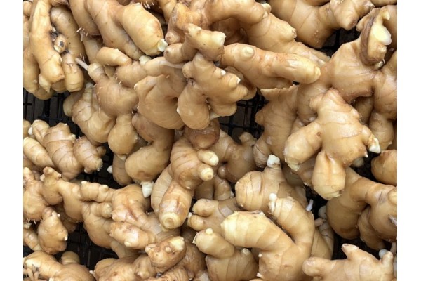 昌邑生姜市場最新價格指南，全面了解生姜市場行情與價格動態(tài)