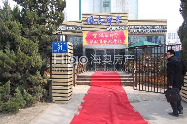 青島大洋花園最新動態(tài)，科技重塑未來花園的極致體驗(yàn)