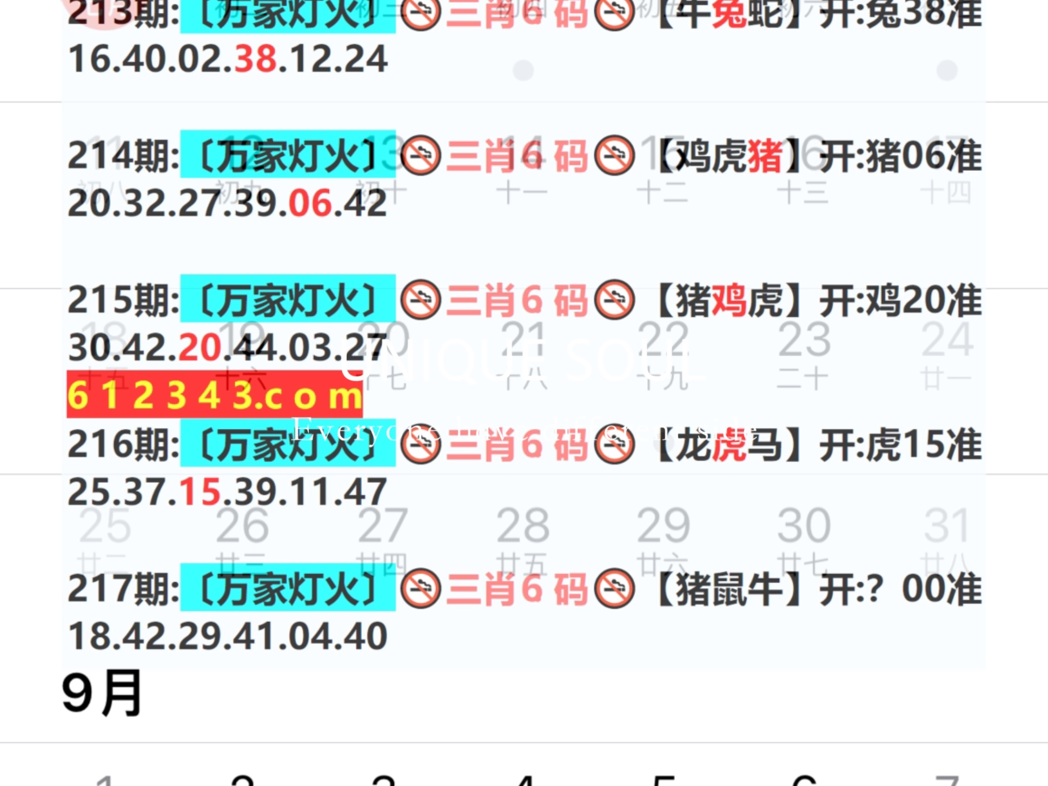 2024年新奧門天天開彩,數(shù)據(jù)獲取方案_JPF58.265科技版