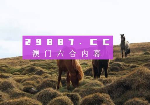 2023澳門一肖一碼,實(shí)地觀察數(shù)據(jù)設(shè)計(jì)_結(jié)合版51.427