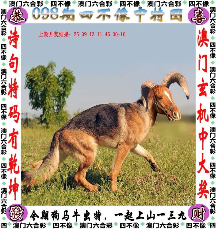 澳門今晚開特325四不像圖,高度協(xié)調(diào)實(shí)施_備用版6.378
