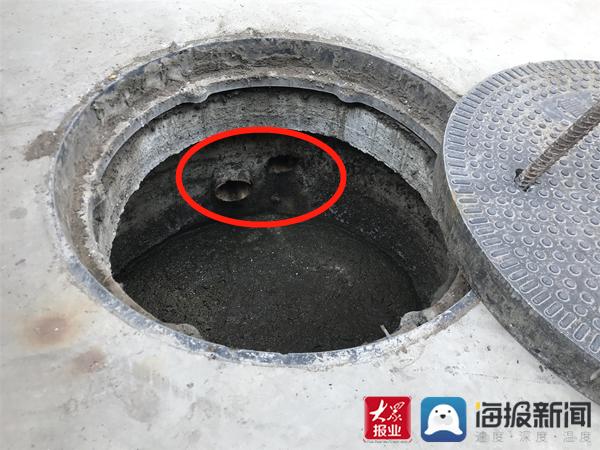 福建臺(tái)幫幫團(tuán)最新一期揭秘，小巷深處的隱藏美食瑰寶