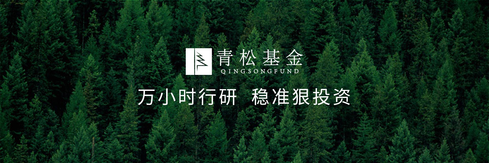 長青樹眾籌最新動態(tài)，背景、發(fā)展與時代地位探索