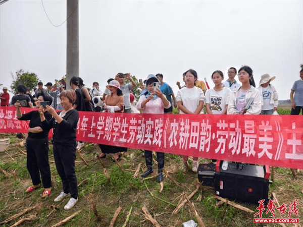 桃源木塘垸鄉(xiāng)新動(dòng)態(tài)，趣事連連，真摯友情綻放鄉(xiāng)間
