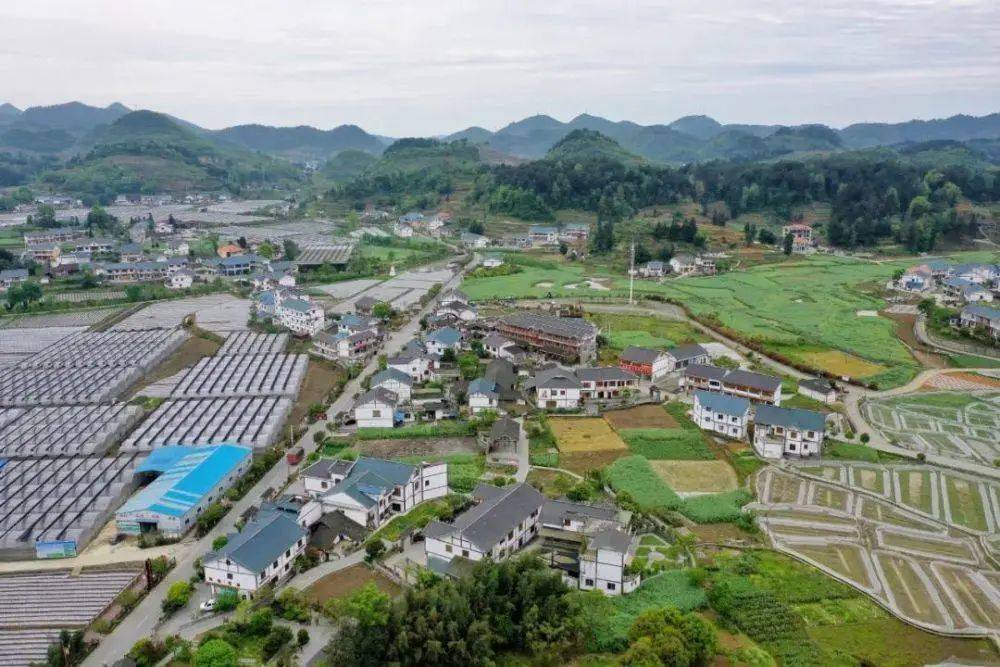 遵義市喇叭鎮(zhèn)最新動態(tài)更新，最新消息匯總