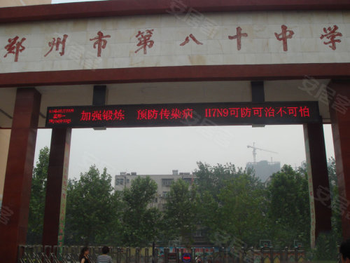 中原區(qū)九龍城最新動(dòng)態(tài)深度解析，最新進(jìn)展與觀點(diǎn)闡述