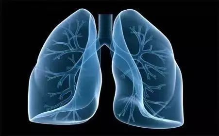 肺癌最新式治療,肺癌最新式治療論述