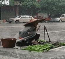 最新駕考崩潰背后的溫馨學(xué)車之旅