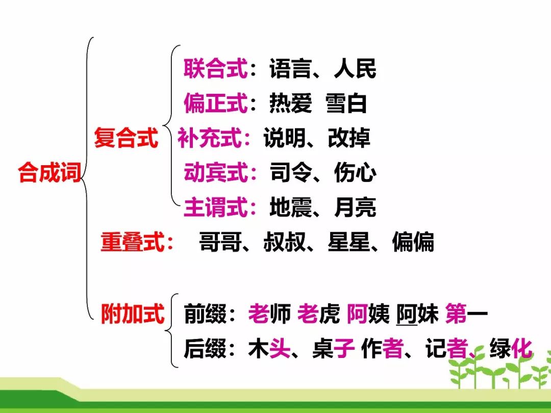 最新合成詞，語(yǔ)言發(fā)展的微觀視角探索
