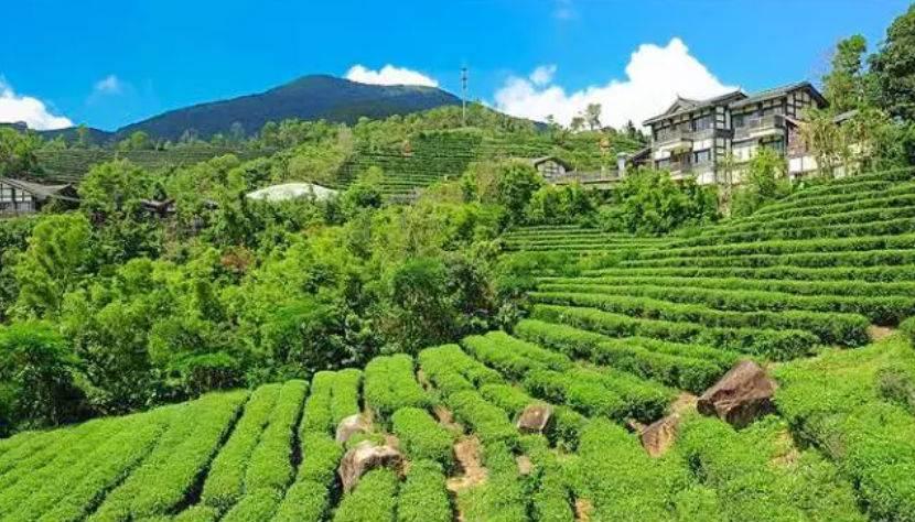 深圳驚喜活動(dòng)溫情之旅，日常中的特別瞬間