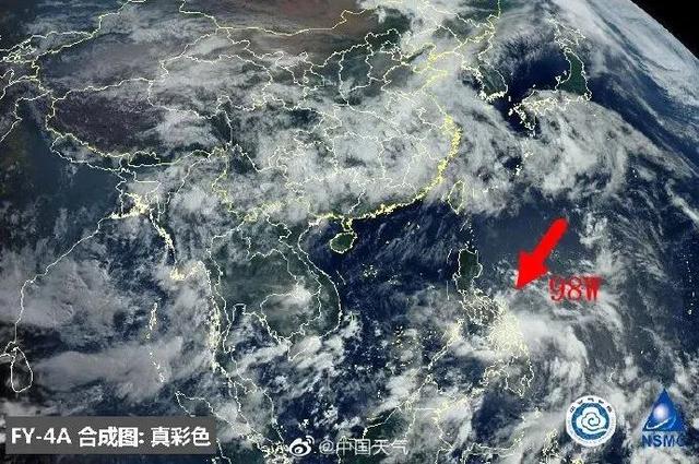 臺(tái)風(fēng)鸚鵡的最新動(dòng)態(tài)，逆風(fēng)翱翔的力量與學(xué)習(xí)魅力