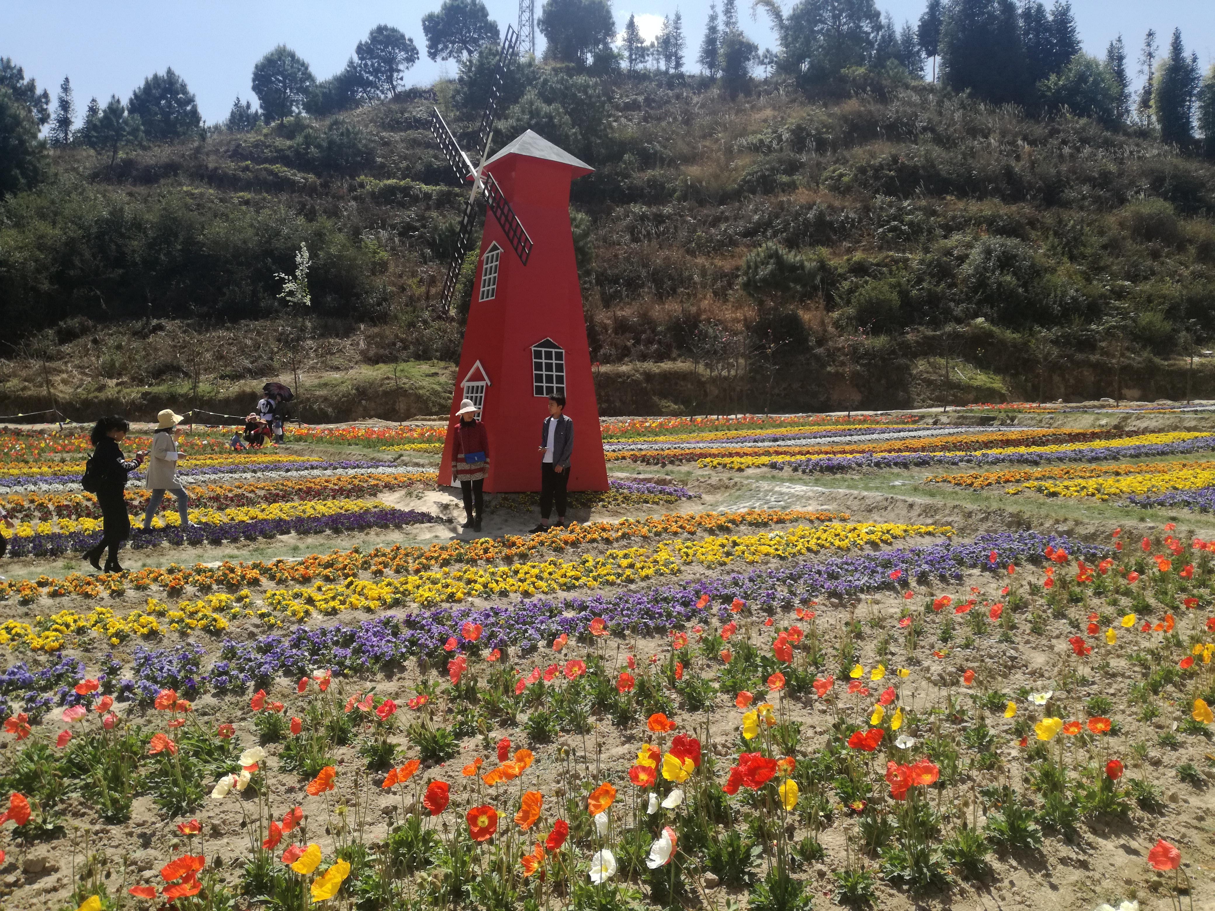 臨滄市最新探索，自然美景之旅，尋找內(nèi)心平和的旅程