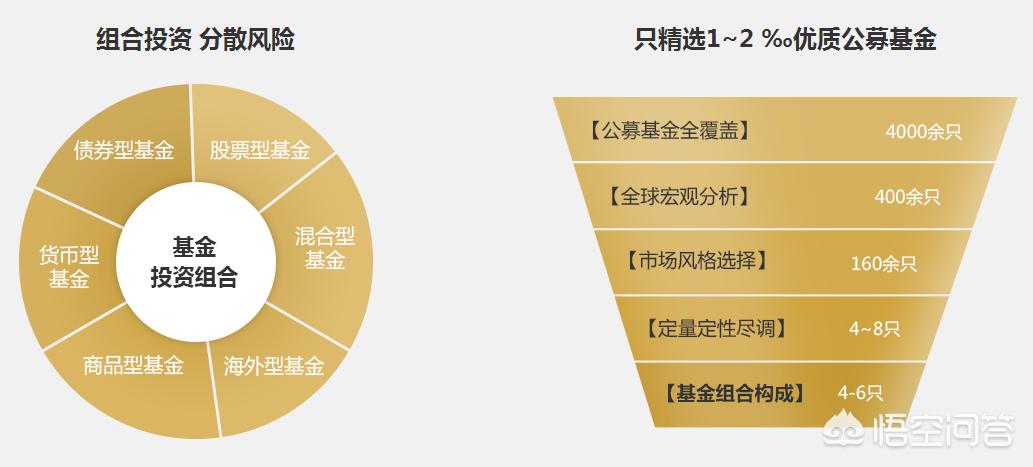 深度解析，今年養(yǎng)雞產(chǎn)業(yè)趨勢(shì)與前景展望
