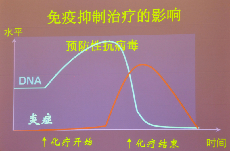 肝炎新進(jìn)展揭秘，小巷深處的秘密小店探索