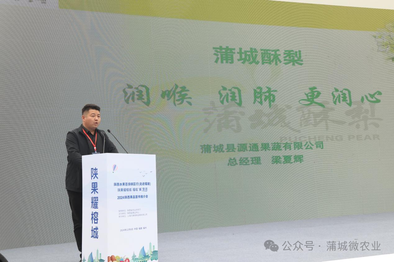 梨城資訊速遞，探索梨城新動(dòng)態(tài)與發(fā)展趨勢(shì)