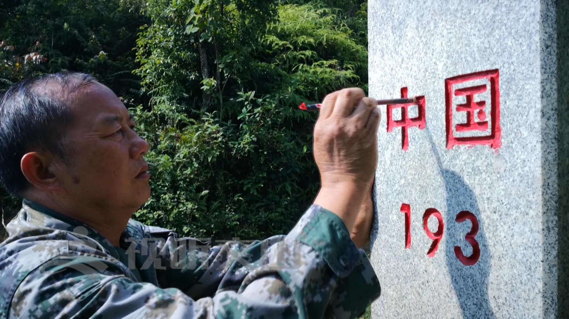 文山黃牛打架比賽，傳統(tǒng)與爭議的碰撞