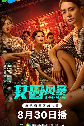 淘君爹最新影片，小巷深處的電影寶藏探索