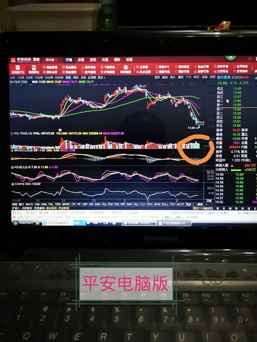 股票電腦版，開啟溫馨的股市之旅