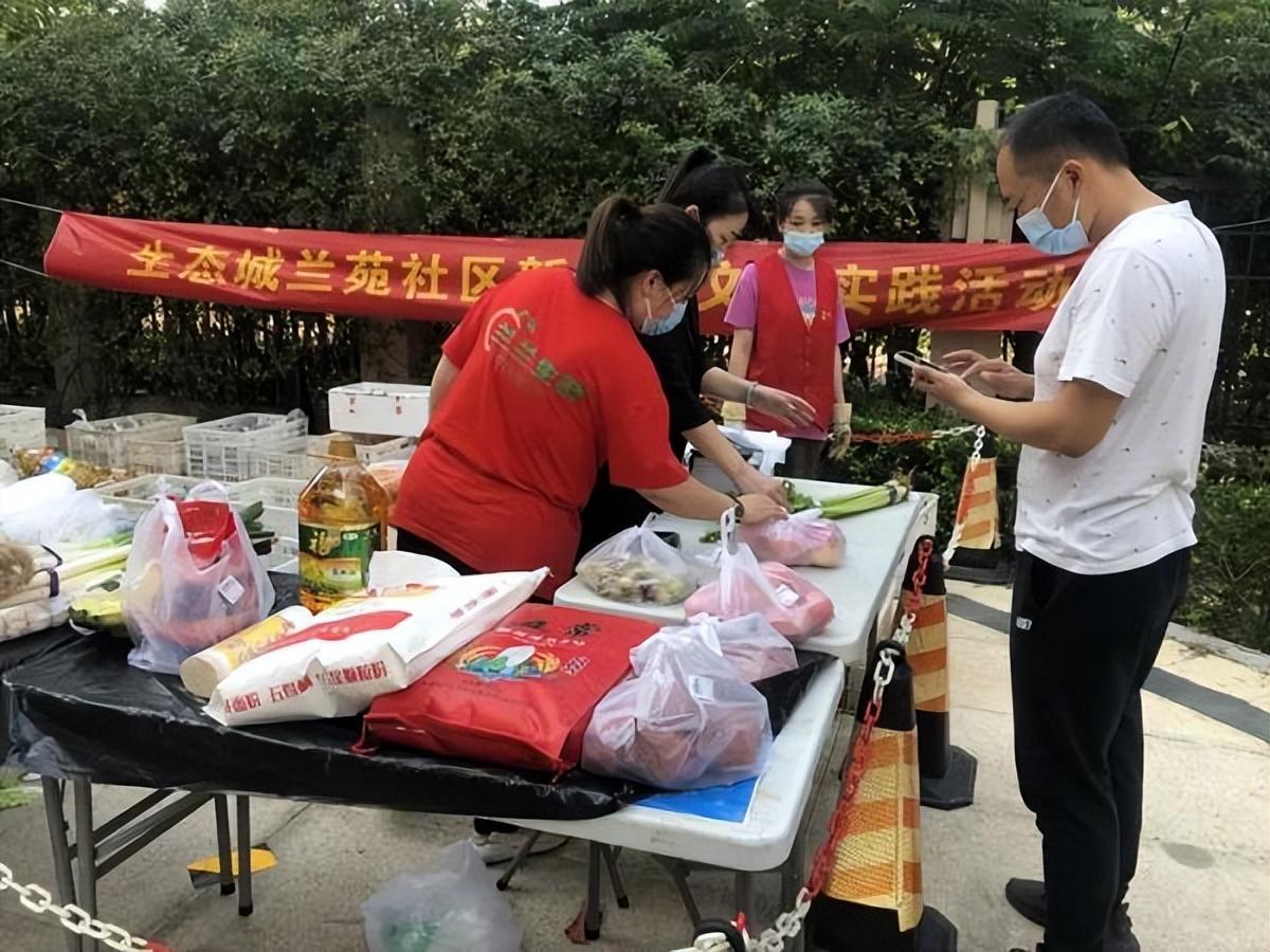 保利華潤紫云價格深度解析，探尋背后的故事與地位影響