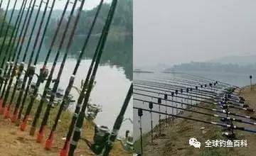 海竿釣魚比賽，技巧、魅力與激情的海洋探秘之旅