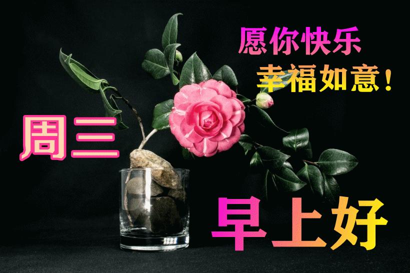 最新早晨問(wèn)候動(dòng)態(tài)表情包，溫馨問(wèn)候，從表情開(kāi)始！