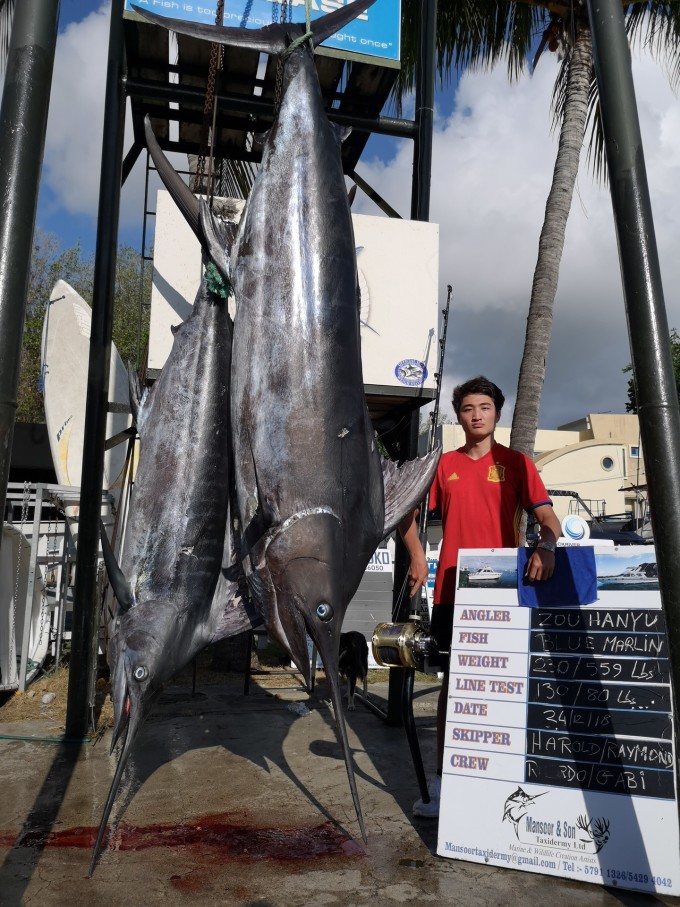 海洋競技盛宴，釣馬林魚比賽盛況