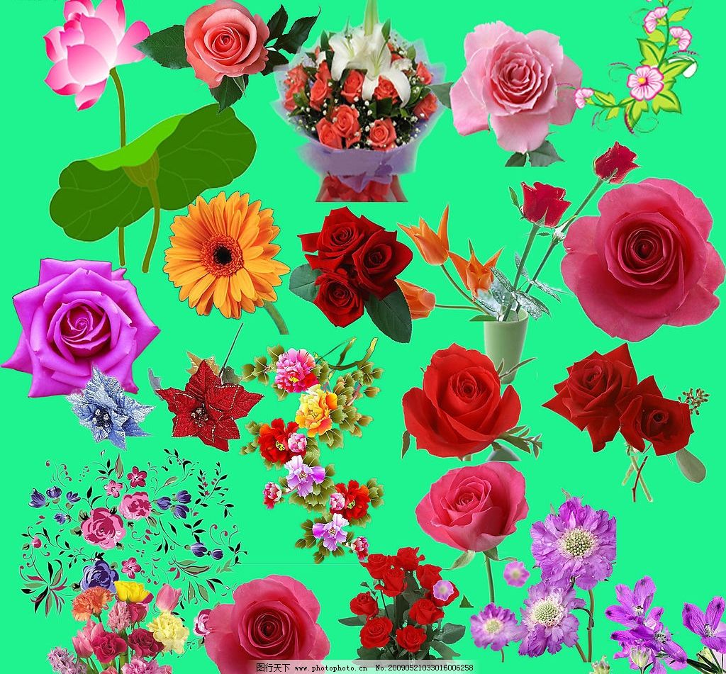 最新花款下載，愛與陪伴的溫馨之旅