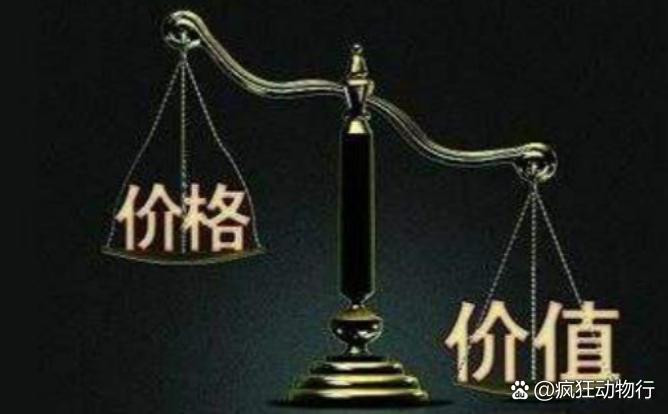 價格與價值解析，差異何在？