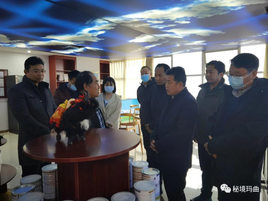 高原之寶上市，學(xué)習(xí)、蛻變與自信的輝煌之旅