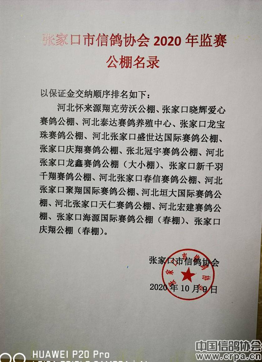 東光信鴿協(xié)會最新通告，小巷深處的獨特風(fēng)味揭秘與信鴿活動更新通知