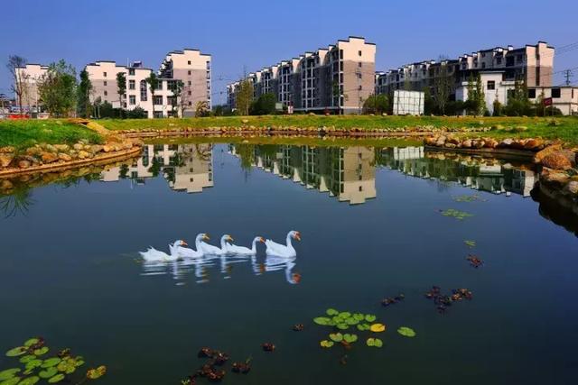 萍鄉(xiāng)安源湖，最新動(dòng)態(tài)揭示湖畔變革與自我超越之旅