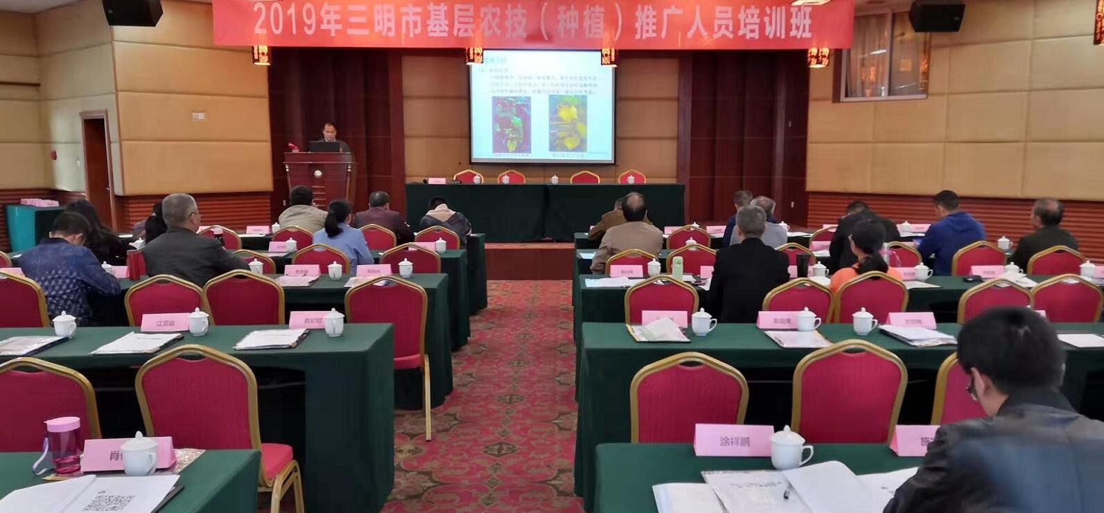 豇豆最新，廚房中的友情與家的溫馨