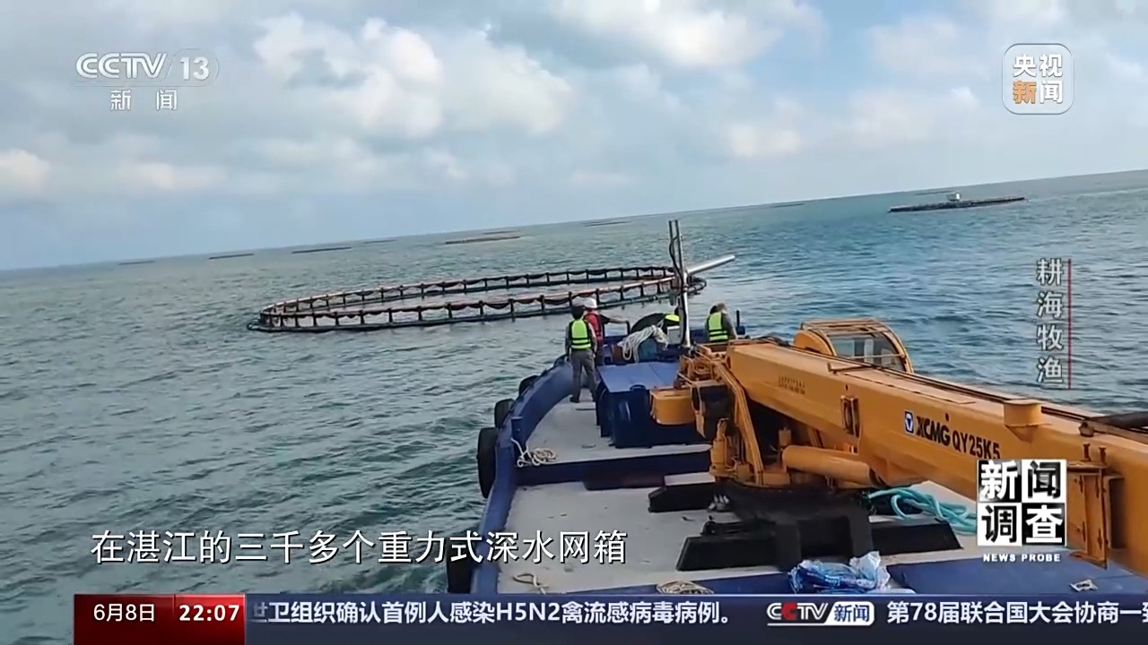 最新海水養(yǎng)殖,最新海水養(yǎng)殖，一種前沿農(nóng)業(yè)技術(shù)的觀點(diǎn)分析